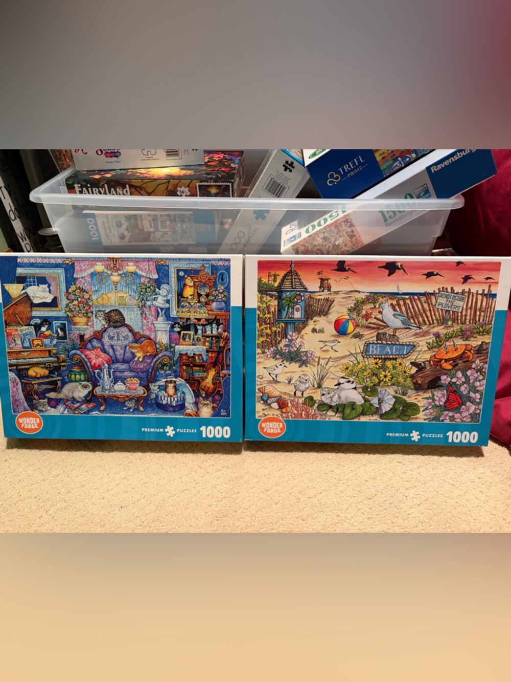 2 - Wonder Forge 1000-Piece Jigsaw Puzzles - Beach Scene -and Cats!! Free Ship!